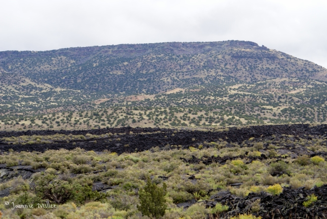 Volcanic Rock Fields NM, AZ Drive, Summer 2012