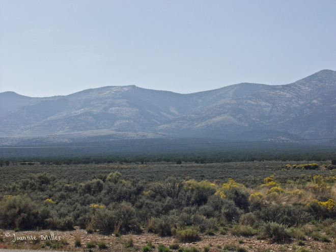 Nevada National Forest in the Distance