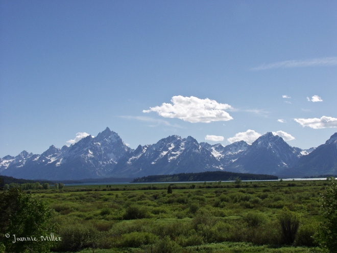 Tetons in the Distance 