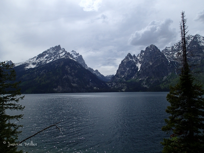 View from the Cabin,Grand Tetons WY, June 2013, Jackie road trip, Tough Camera,
